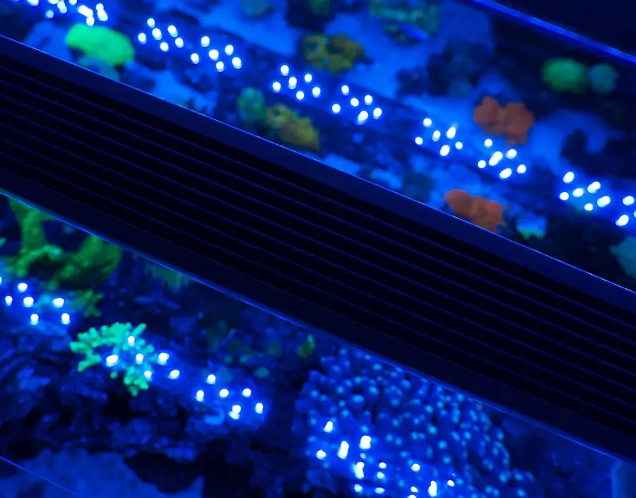 Nahaufnahme der aquaBAR mit leuchtenden LED-Modulen über einem Riffaquarium