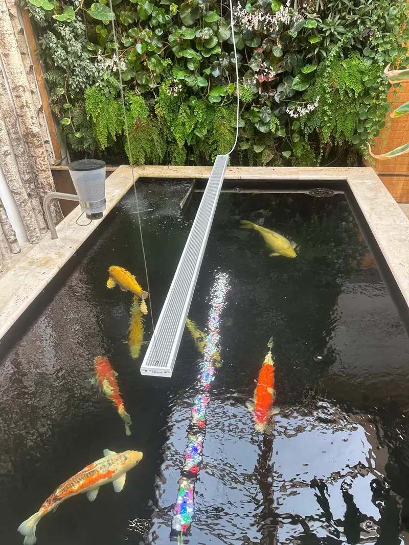 aquaBAR Gen4 Koi