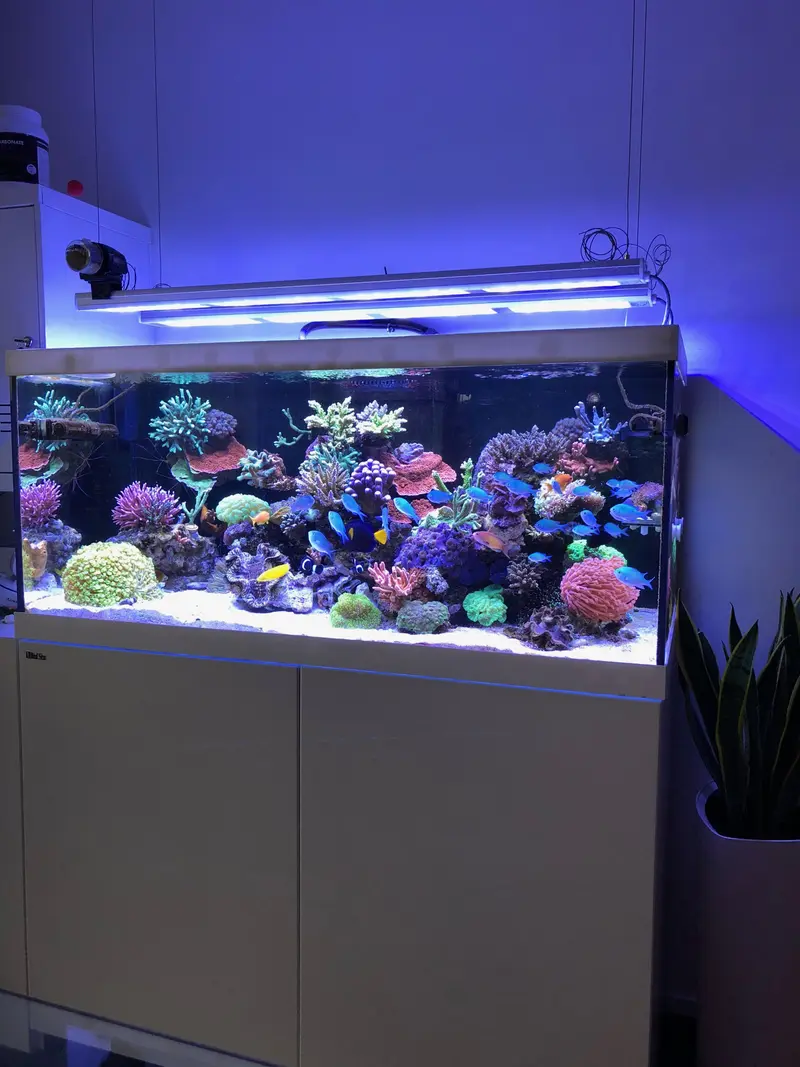 aquaBAR Gen4 Reef – Produktbild 7