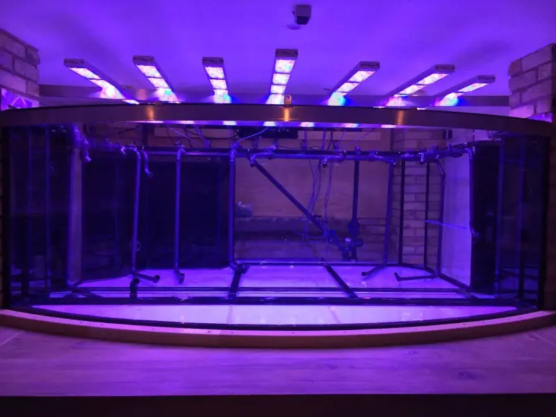 Meerwasseraquarium mit sieben aquaBARs – Bild 2