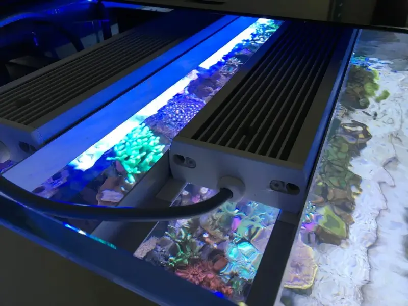 Meerwasseraquarium mit zwei aquaBAR75 – Bild 2
