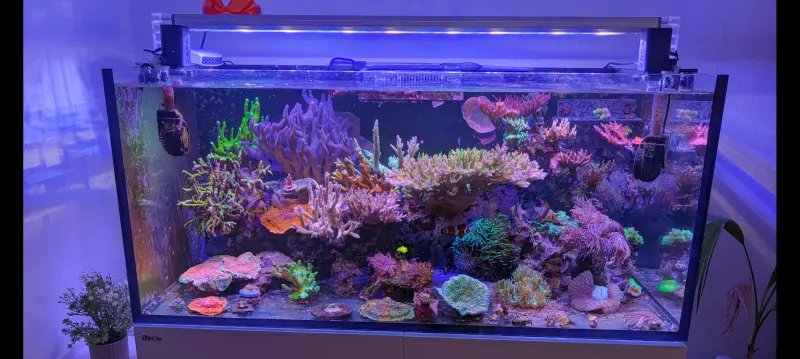 Reefer 420XL – Meerwasseraquarium mit aquaLEDs-Beleuchtung