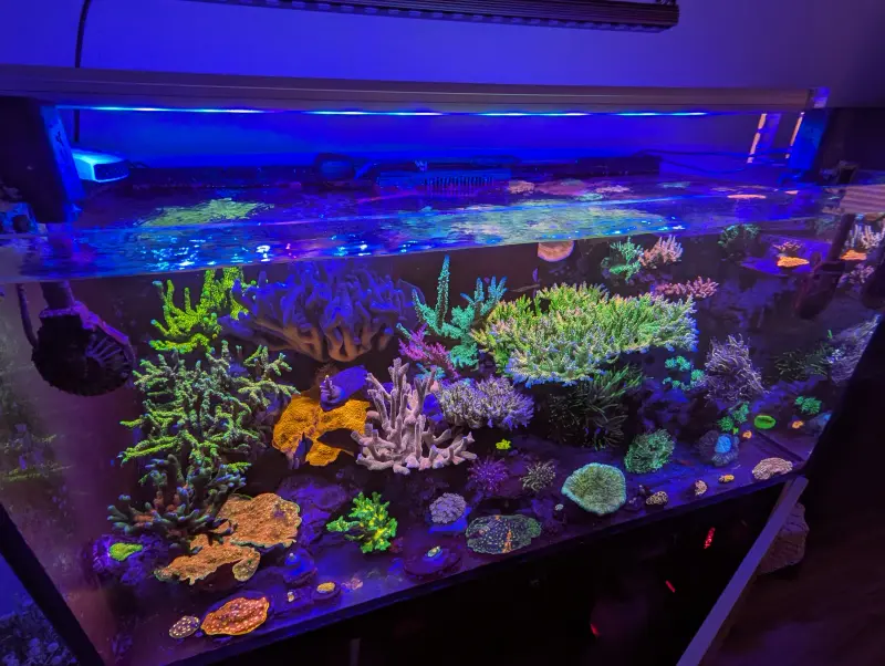Reefer 420XL – Bild 2