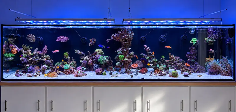 Mein 1500 Liter AQ – Meerwasseraquarium mit aquaLEDs-Beleuchtung
