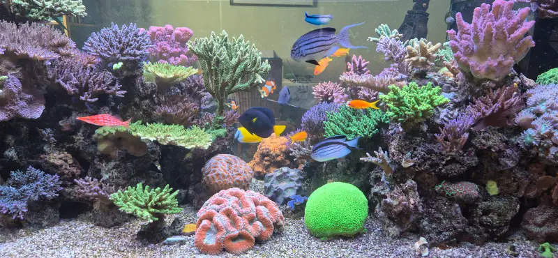 750 L Aquarium – Bild 2