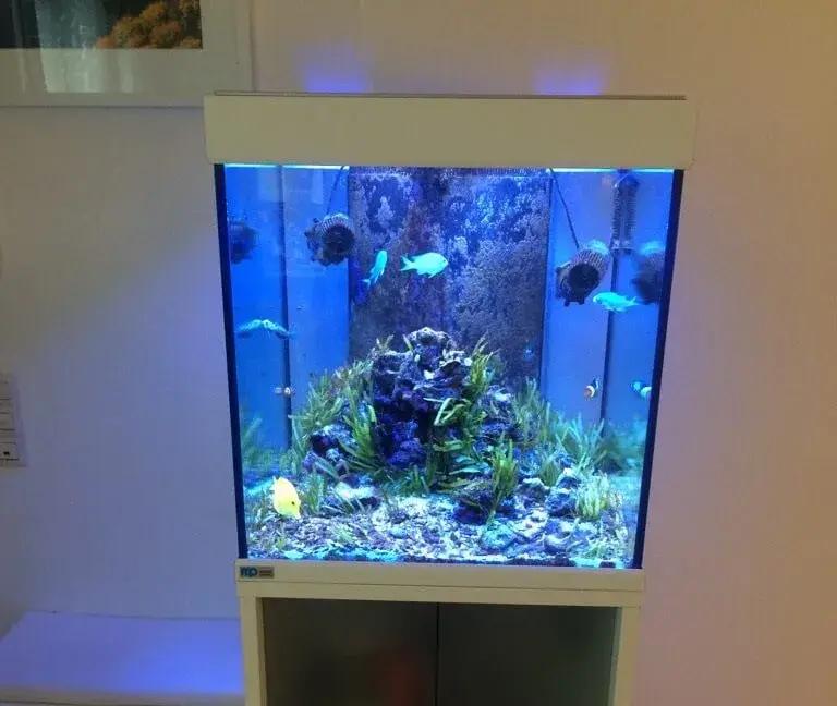 Cube Meerwasseraquarium mit einem aquaPAD – Bild 3