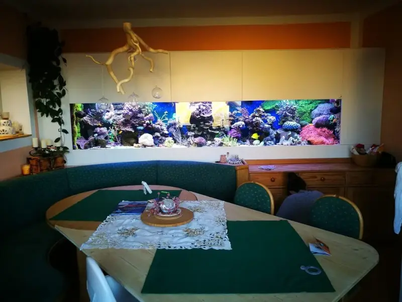Korallenbecken mit 2x aquaBAR75 und 2x aquaBAR175 – Bild 2