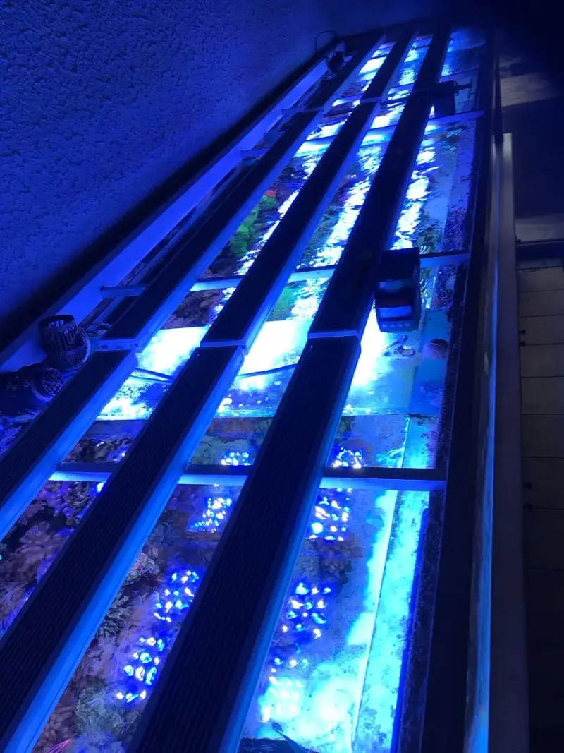 Meerwasseraquarium mit 9x aquaBAR150 – Bild 3
