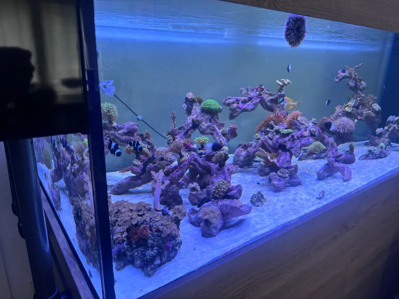 Wohnzimmer Mischriff – Bild 3
