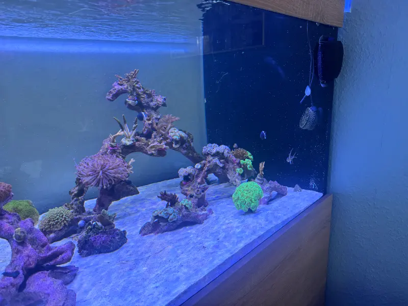 Wohnzimmer Mischriff – Bild 4