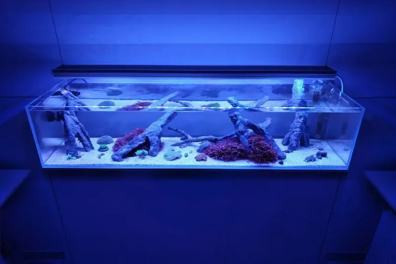 Meerwasseraquarium mit einer aquaBAR120 HighColor+ – Meerwasseraquarium mit aquaLEDs-Beleuchtung