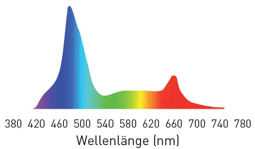 Spektraldiagramm der Leuchte, Wellenlänge 380 bis 780 nm