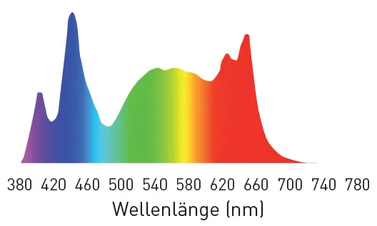 Spektraldiagramm der Leuchte, Wellenlänge 380 bis 780 nm
