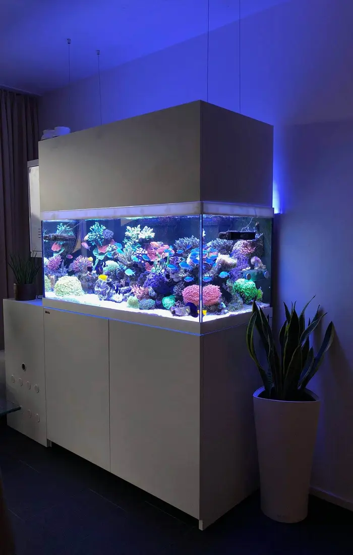 aquaBAR über einem Meerwasseraquarium im Wohnzimmer